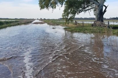 Productores de Carlos Casares están en pie de guerra por un proyecto de sobretasa vial en medio de las inundaciones