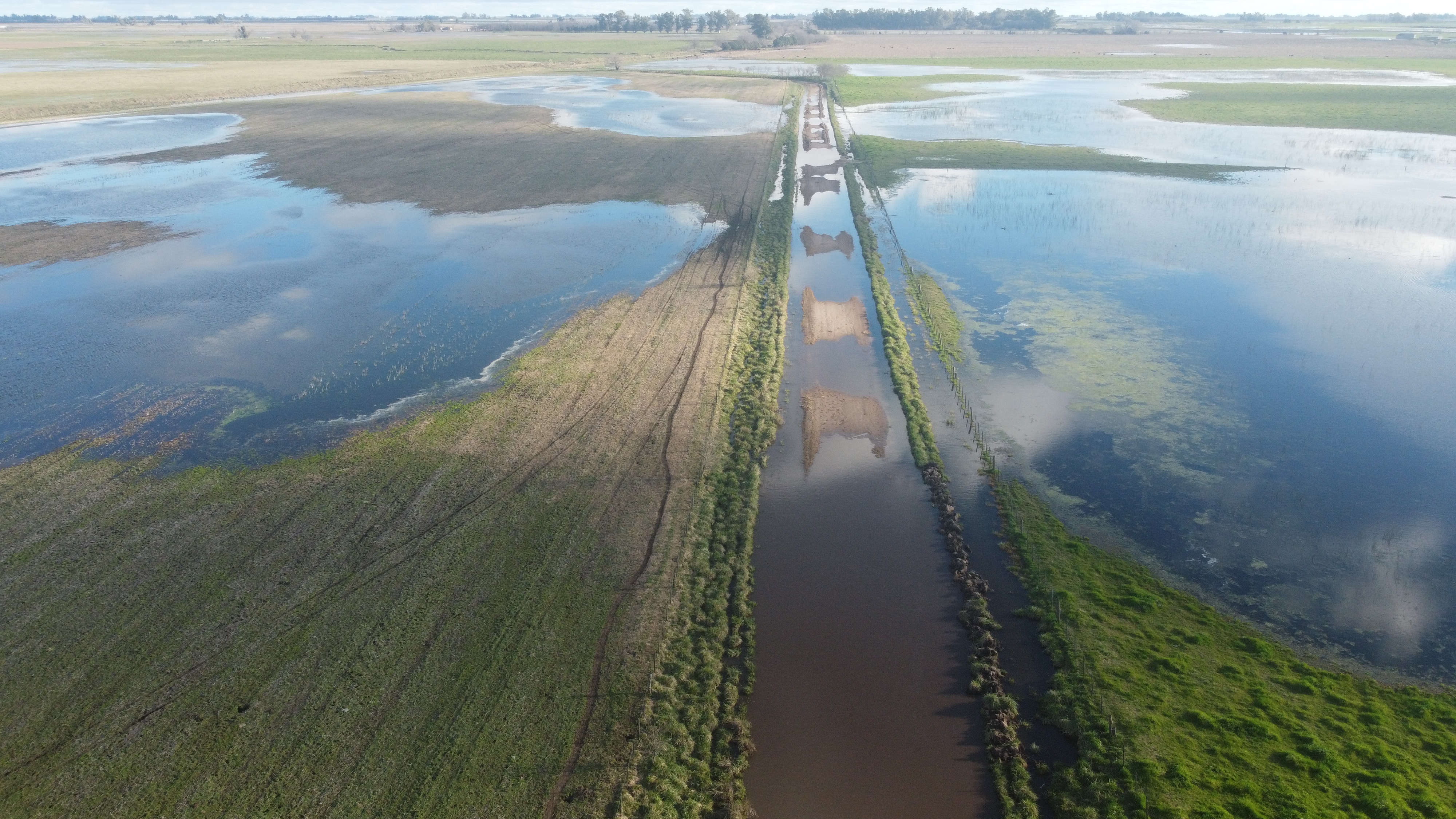 Desastre productivo y económico: Mira a cuanto equivale en números la perdida por las inundaciones en el partido de 9 de Julio