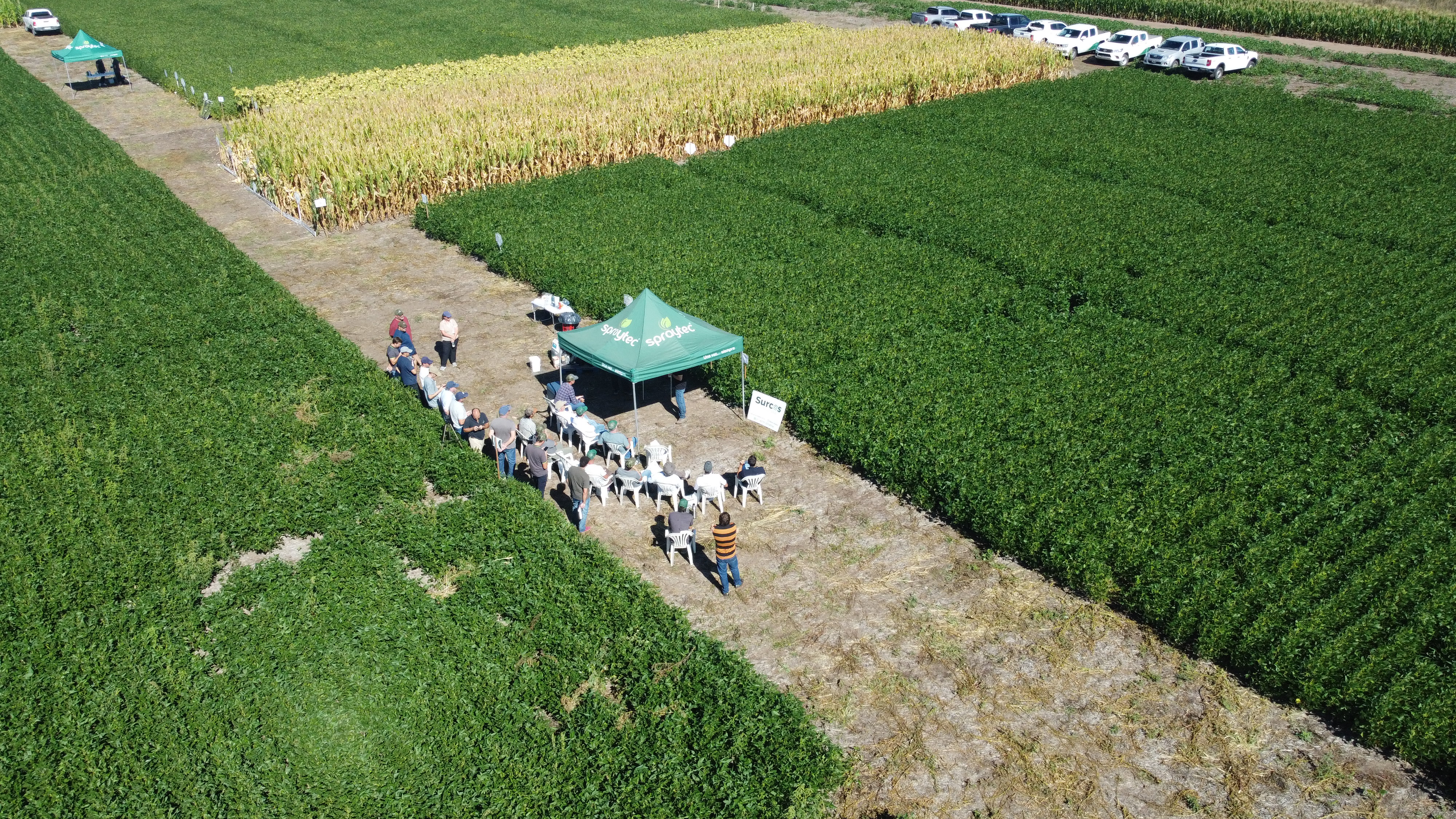 Nutrición, Sanidad y Tecnologías: Se desarrollo el 2do. Field Day de Spraytec en 9 de Julio