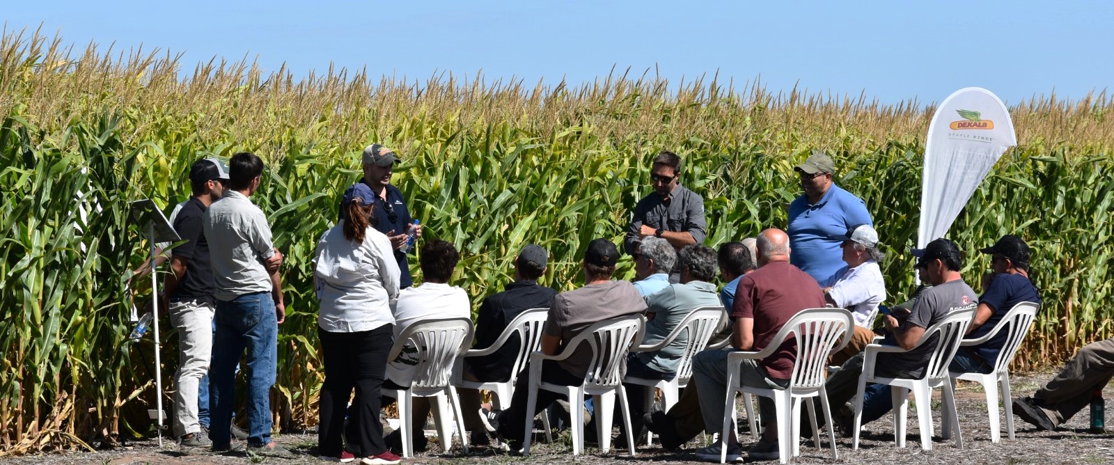 Maiz: De que hablamos cuando se menciona Campo Integrado
