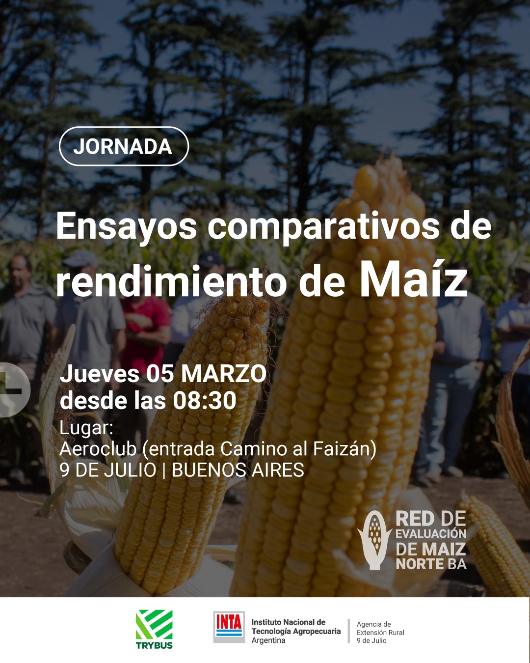 INTA 9 de Julio y Trybus Agro, convocan a su Recorrida por ensayos comparativos de rendimiento de Maíz