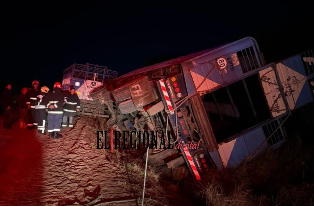 Un transporte con ganado vacuno volcó en el medio rural