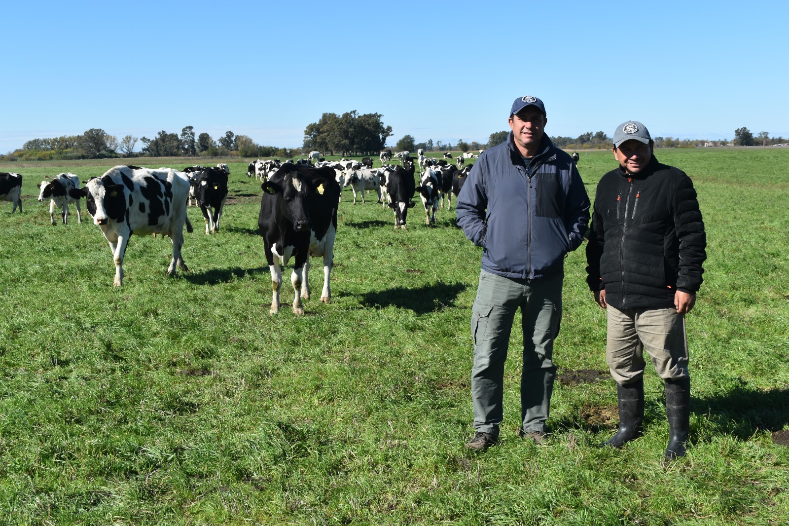 Tambo Las Palmeras: Simple, Eficiente y uno de los primeros de la zona en incorporar Beef On Dairy