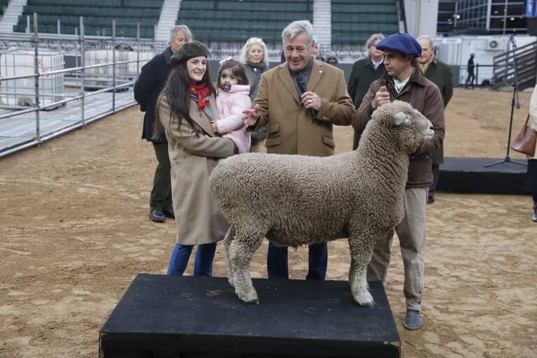 Ya se palpita la 138º Expo Rural Palermo 2026: Un carnero apodado «Tim Payne» y la vaca «Tini Tini», los primeros animales en llegar a la feria parlametina