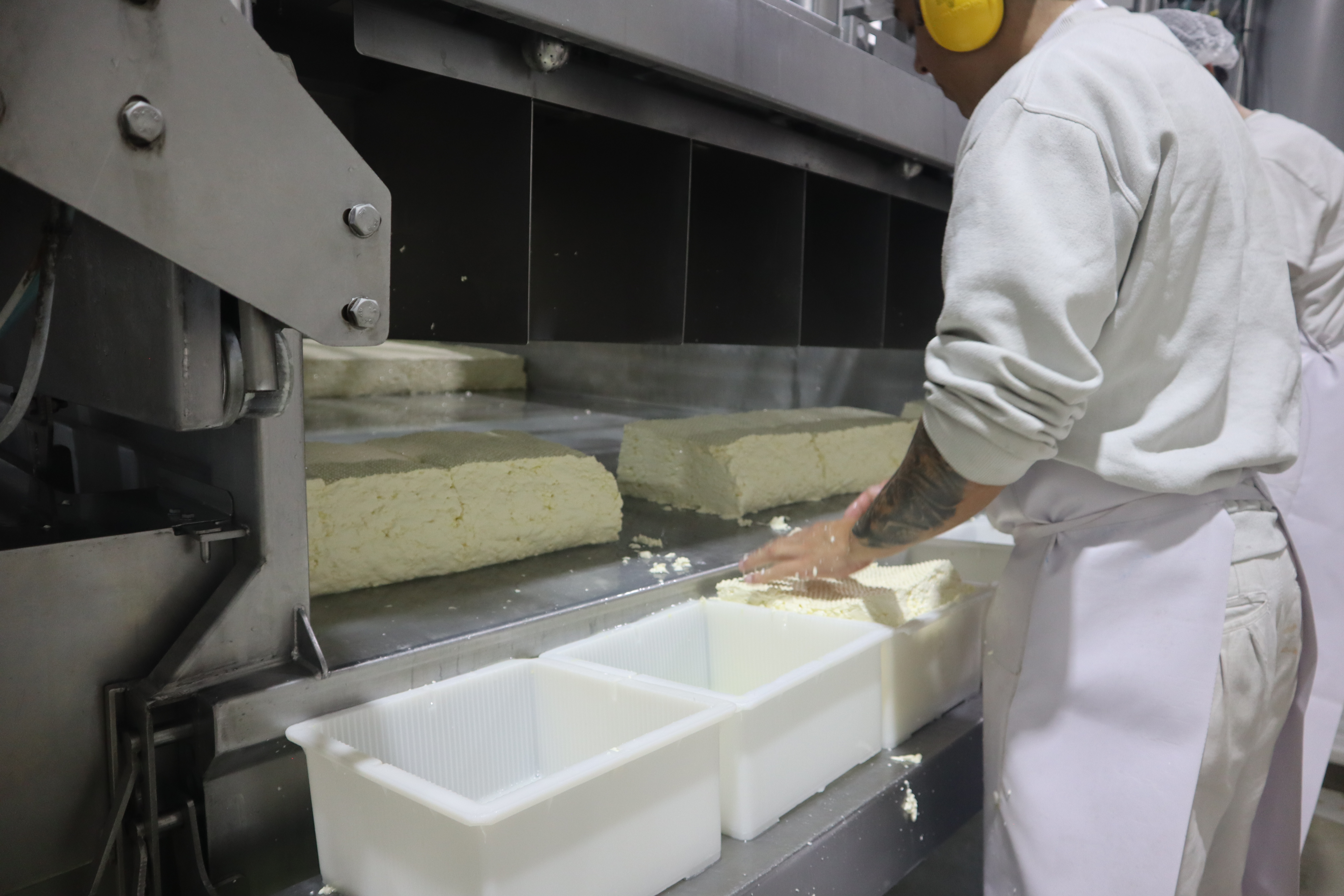 2 de septiembre, Día de la Industria Nacional: Desde Cámara de Comercio, destacan la diversidad industrial en el partido 9 de Julio
