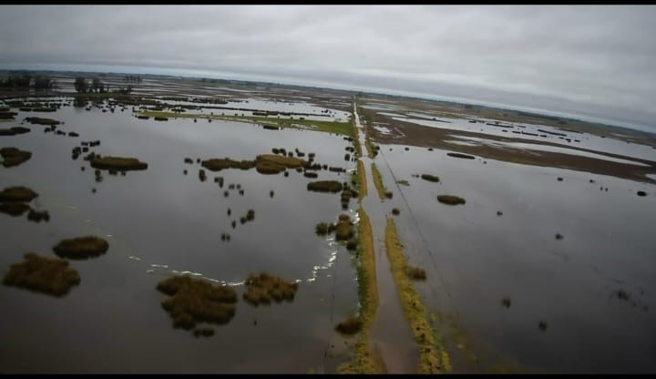 Se nos complicó en 9 de Julio: El “niño” asesta, canales sin limpiar, caminos anegados, y trabajadores rurales caminando en medio del agua   